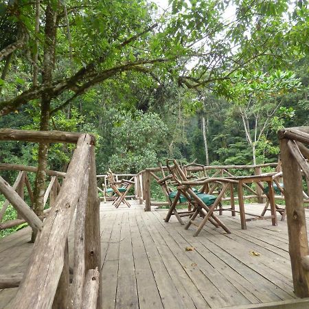 Nshongi Camp 호텔 Rubuguli 외부 사진