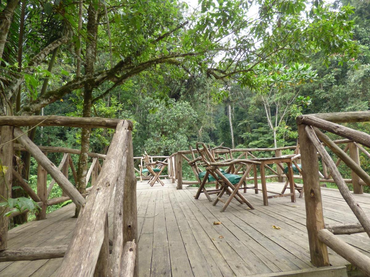 Nshongi Camp 호텔 Rubuguli 외부 사진